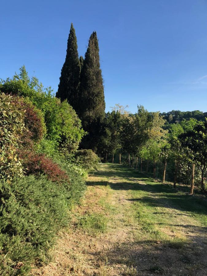 Tuscia Castle Apartments Roccalvecce Exterior foto